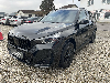 BMW X1 25 e xDrive M Sportpaket ACC HUD KAMERA LED