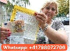 Kreditangebot zwischen Privatpersonen